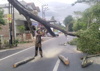 Angin Kencang Landa Aceh Besar Pengguna Jalan Hati-Hati