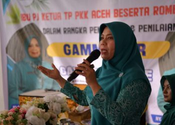 Pj Ketua TP PKK Aceh Dorong Kreativitas Ibu-ibu Gampong Mane