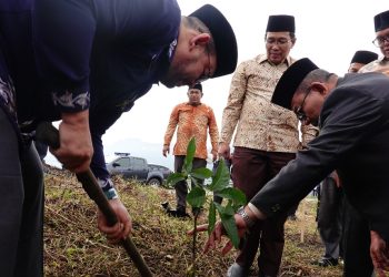 ASN Kemenag Aceh Diajak Tanam Satu Pohon di Lahan Wakaf