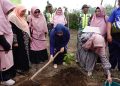 Kemenag Aceh Targetkan Tanam 20 Ribu Pohon Produktif di Lahan Wakaf