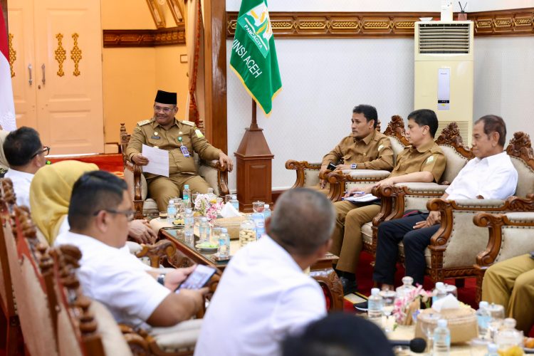 Pj Gubernur Safrizal Dukung Iklim Usaha, Terima Pengurus Kadin