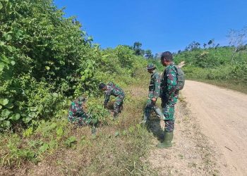 TNI Korem Lilawangsa Tanam Ratusan Pohon di Jalan Menuju Makam Cut Meutia