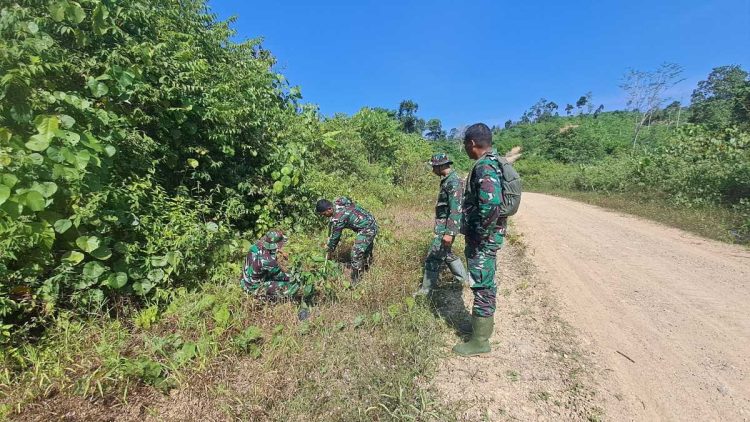 TNI Korem Lilawangsa Tanam Ratusan Pohon di Jalan Menuju Makam Cut Meutia