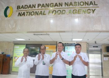 Lima Kabupaten dengan Ketahanan Pangan Terbaik di Aceh 