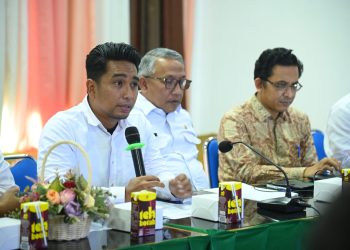 Teuku Nyak Makam Diusul Jadi Pahlawan Nasional