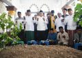 Wagub Aceh Fadhlullah Ziarah ke Makam Abu Kuta Krueng