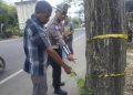 Pengendara Sepeda Motor di Aceh Timur Meninggal Usai Tabrak Pohon, Diduga Microsleep