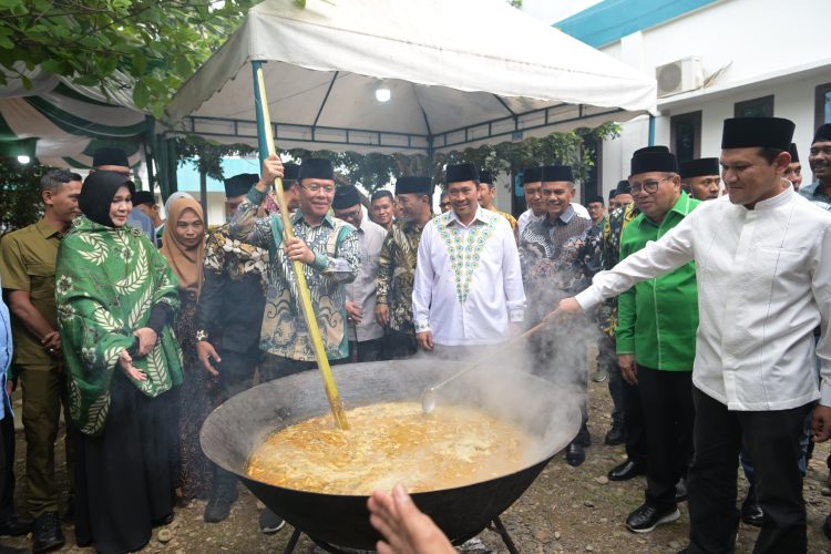 Wagub Minta Ketum PPP Bantu Perjuangkan Perpanjangan Dana Otsus Aceh