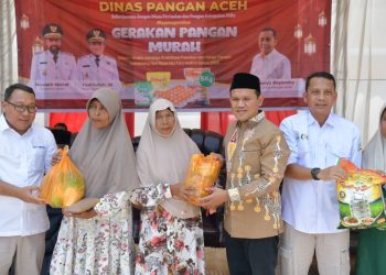 Wakil Gubernur Aceh Tinjau Jalan Gampong dan Serahkan Sajadah ke Masjid di Pidie