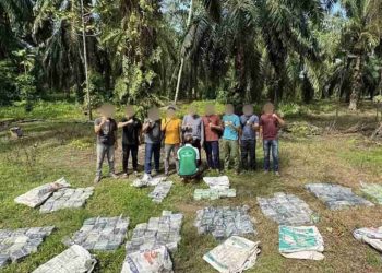 Penyelundupan Narkoba Digagalkan di Aceh Tamiang, 188 Kg Sabu-Sabu Disita