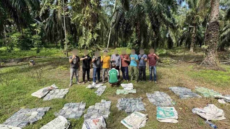 Penyelundupan Narkoba Digagalkan di Aceh Tamiang, 188 Kg Sabu-Sabu Disita