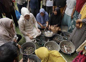 Ketua PKK Aceh Kunjungi Ibu-ibu Petani Tiram di Gampong Crueng, Dukung Pembentukan Koperasi Merah Putih