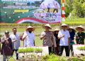 LTT Padi Aceh Naik 7,89 Persen, Mualem Sampaikan Terima Kasih ke Prabowo