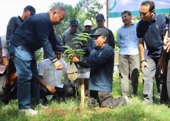 Hari Bumi, UIN Ar-Raniry Tanam 500 Pohon Matoa