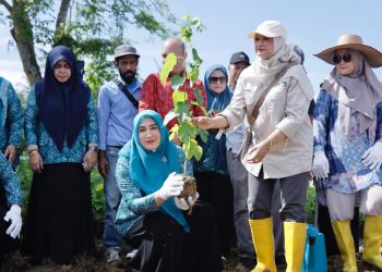 Istri Gubernur Tanam Murbei, Dorong Kebangkitan Sutra Aceh