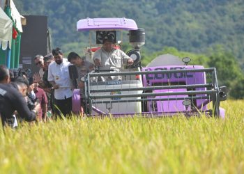 Gubernur Aceh Ikuti Panen Raya Serentak di 14 Provinsi dari Gampong Lamcarak