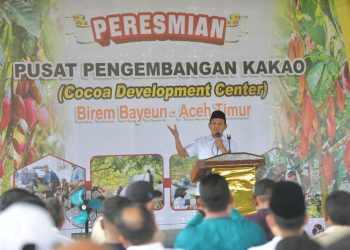 Aceh Timur Miliki Pusat Pengembangan Kakao, Diresmikan Wagub Fadhlullah