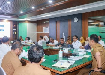 BPKS Dorong Pembentukan Sekretariat Dewan Nasional dan Sambut Investasi Mubadala Energy di Sabang