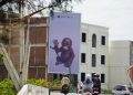 Orangutan Sumatera Kritis, Perdagangan Ilegal Masih Marak hingga Lintas Negara