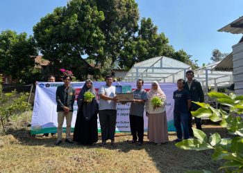 UMKM Hidroponik Jepara Naik Kelas dengan Dukungan Perguruan Tinggi