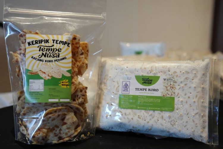 Kacang Koro, Harapan Baru Kemandirian Pangan Aceh Pengganti Kedelai Impor