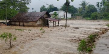 Aceh Darurat Banjir: 16 Daerah Terendam, 20.759 Warga Mengungsi