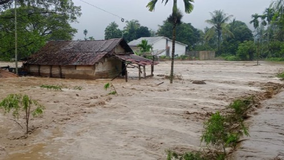 Aceh Darurat Banjir: 16 Daerah Terendam, 20.759 Warga Mengungsi