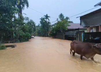 Sungai Meluap, Sejumlah Gampong di Pidie Jaya Kembali Terendam Banjir