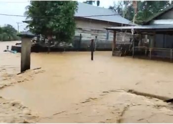 Pidie Jaya Kembali Dilanda Banjir, Tujuh Kecamatan Terdampak
