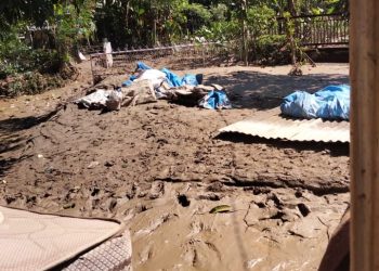 Wajah Kolonial Dalam Tanggap Bencana Aceh