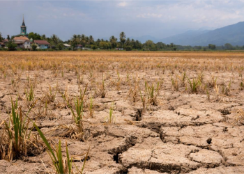 BMKG: Curah Hujan Aceh Rendah, Sejumlah Wilayah Masuki Musim Kemarau Awal Februari