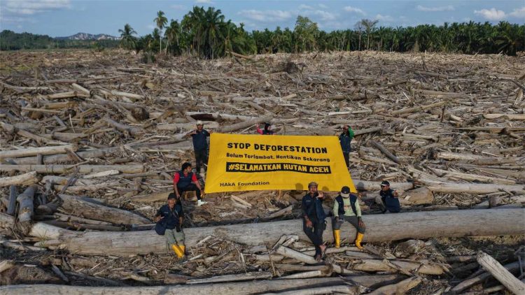HAkA: Deforestasi di Aceh Harus Dihentikan untuk Mengakhiri Banjir Berulang