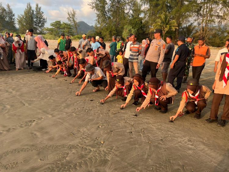 Jangan Biarkan Anak Cucu Hanya Lihat Penyu di YouTube