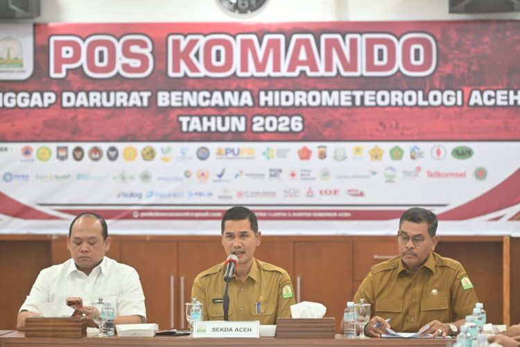 Pemerintah Aceh Targetkan Pemanfaatan Kayu Hanyutan Rampung Sebelum Ramadhan