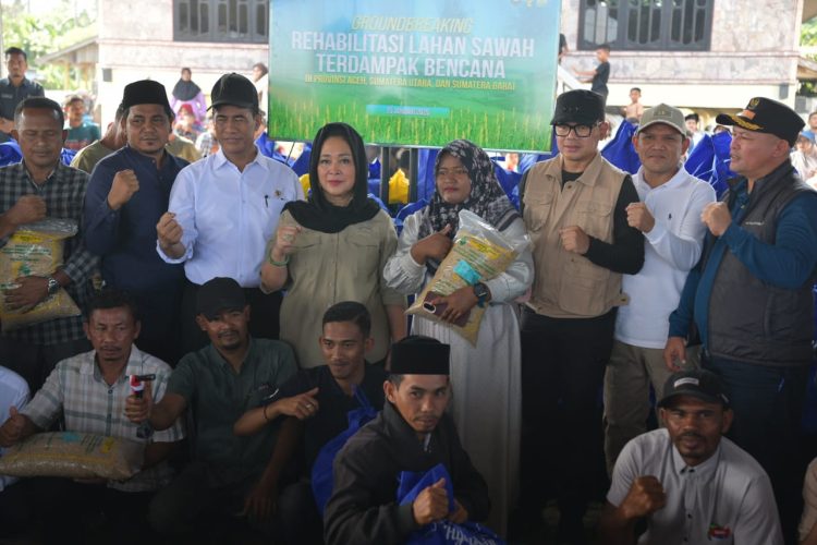 Rehabilitasi Sawah Pascabencana Dimulai, Mentan Amran Ini Tanggung Jawab Negara