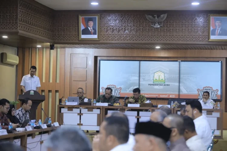 Apa Itu Renduk PRRP Strategi Aceh Mempercepat Pemulihan Pascabencana