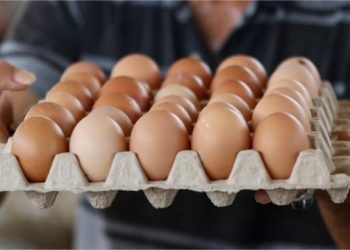 BPS Catat Aceh Alami Deflasi 0,15 Persen pada Januari 2026