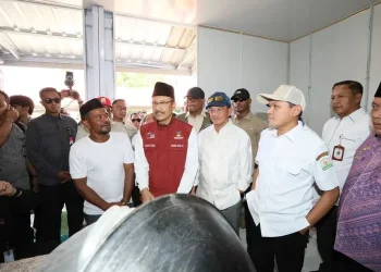 77 Ribu Rumah Rusak di Aceh, Pemerintah Salurkan Bantuan Hingga Rp60 Juta per KK