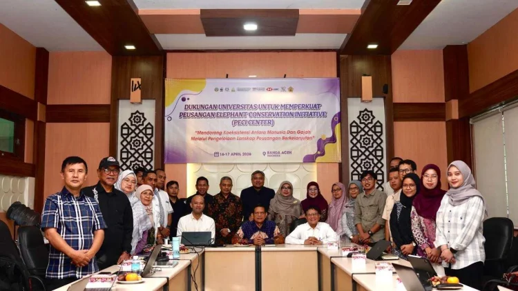 6 Universitas Sepakat Kembangkan Riset Konservasi Gajah Sumatra di Lansekap Peusangan