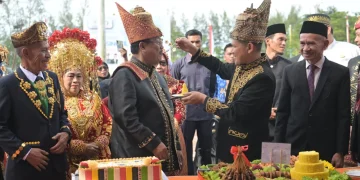 HUT ke-27 Aceh Singkil, Wagub Fadhlullah Tekankan Sinergi dan Pembangunan Berkelanjutan