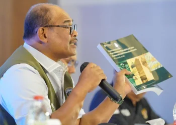 Safrizal ZA Beberkan Capaian Pemulihan Aceh Progres Signifikan, Perkembangannya Dinamis