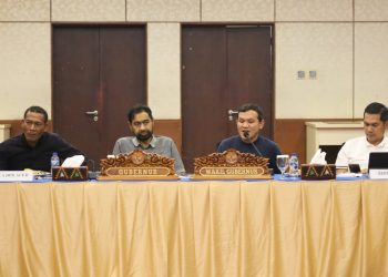 Mualem Revisi UUPA Penting untuk Masa Depan Aceh dan Keberlanjutan Dana Otsus