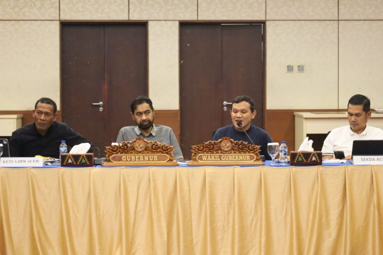Mualem Revisi UUPA Penting untuk Masa Depan Aceh dan Keberlanjutan Dana Otsus