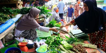 Pemulihan Ekonomi Penyintas dan Mitigasi Bencana Jadi Fokus Utama Satgas PRR