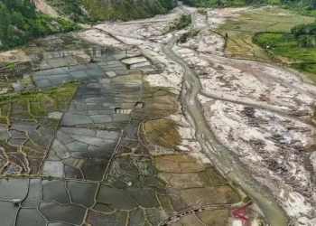Rehabilitasi Sawah Pascabencana di Aceh Terus Dipercepat