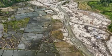 Rehabilitasi Sawah Pascabencana di Aceh Terus Dipercepat