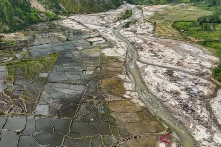 Rehabilitasi Sawah Pascabencana di Aceh Terus Dipercepat