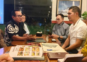 Aceh Bidik Investasi PLTS