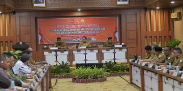 Di Hadapan Mendagri, Mualem Minta Percepatan Pemulihan Sawah dan Infrastruktur Aceh