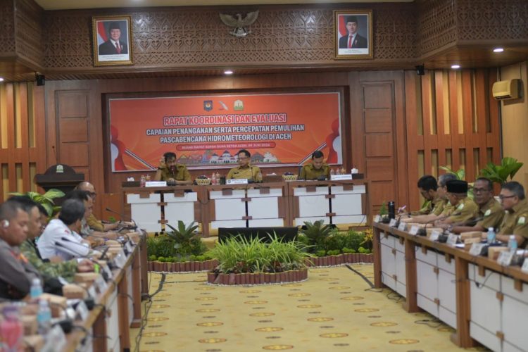 Di Hadapan Mendagri, Mualem Minta Percepatan Pemulihan Sawah dan Infrastruktur Aceh